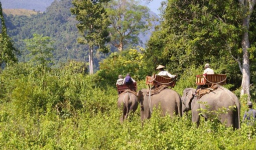 things-to-see-in-laos-ride-an-elephant