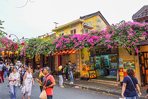 Tourism Growth in Hoi An Will Soon Revive