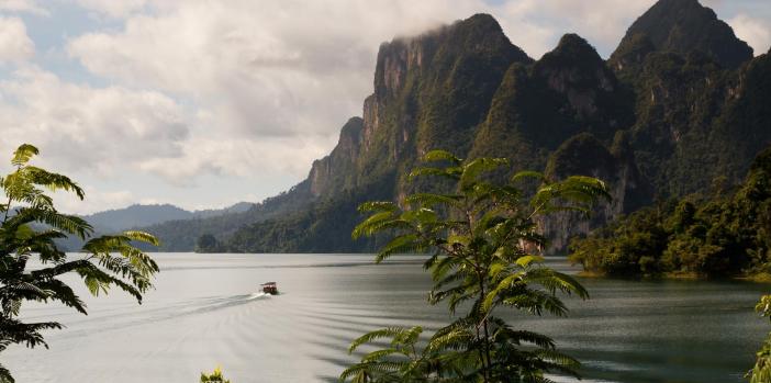 rainforest-camp-elephant-hills-khao-sok-thailand.jpeg