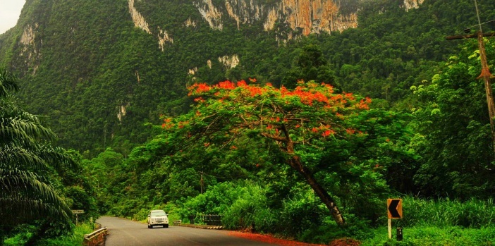 thailand-phang-nga-road-mountain