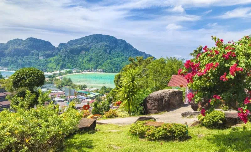 Best Things To Do In Phi Phi Island