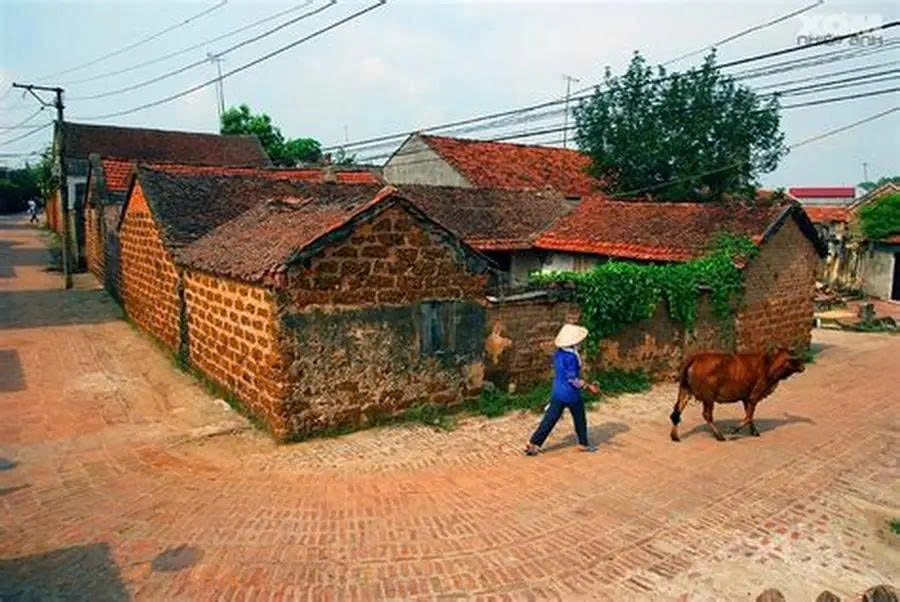 Active Vietnam Family Tour