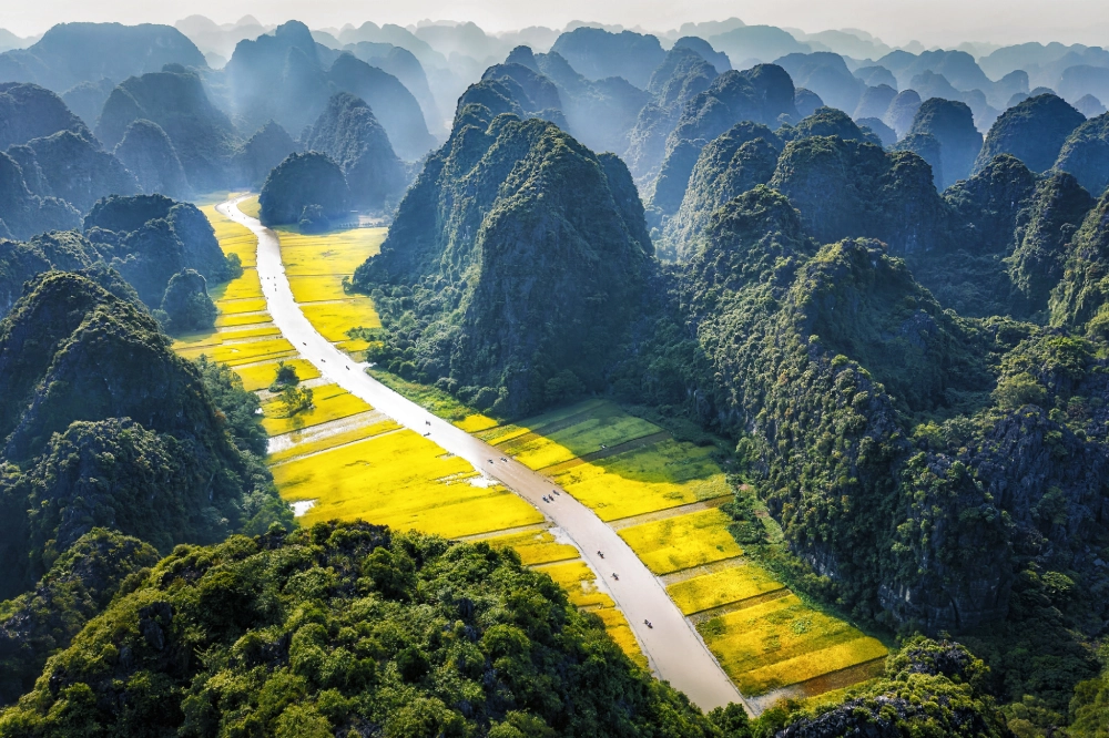 Vietnam