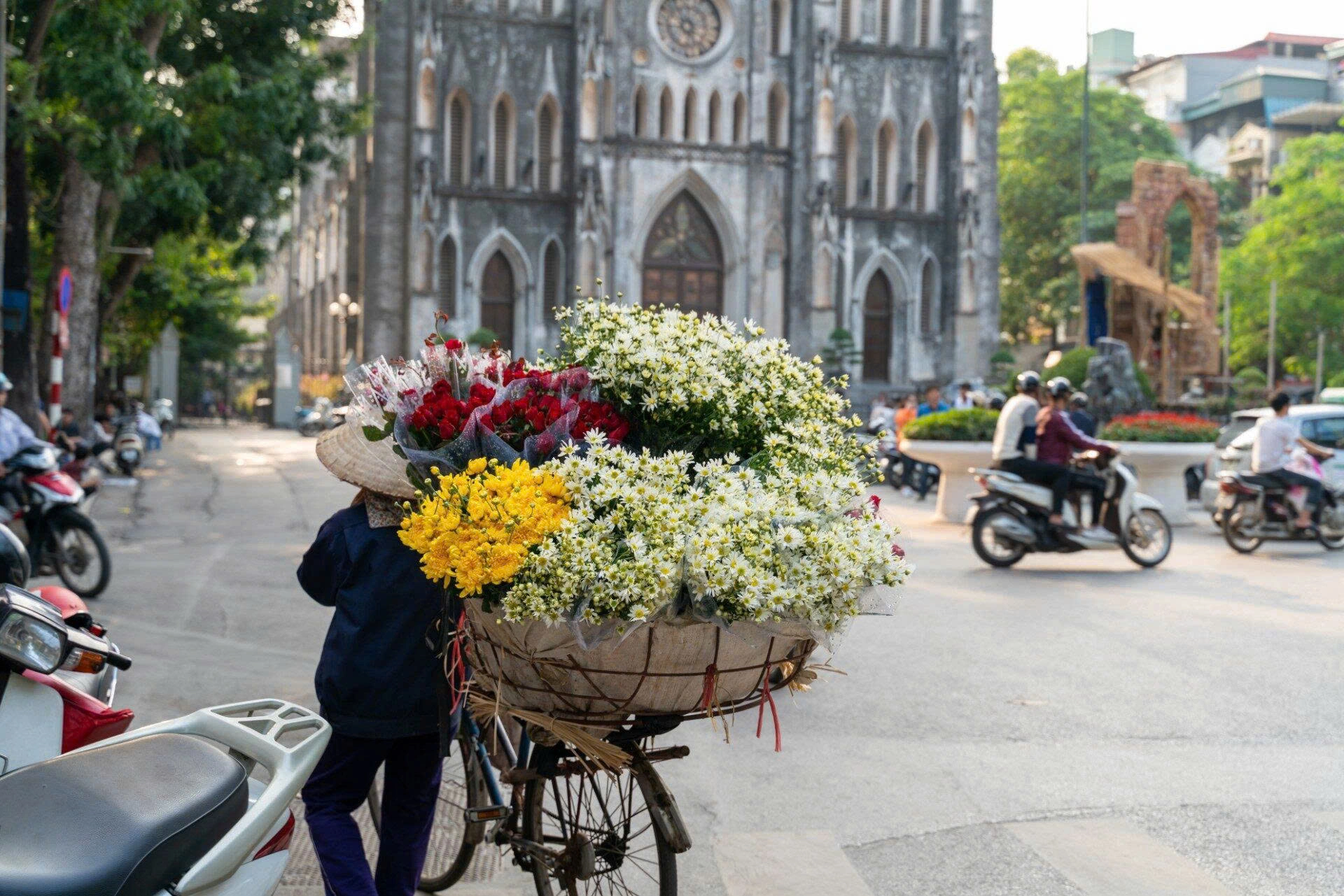 Natural Trails Of The Northern Vietnam