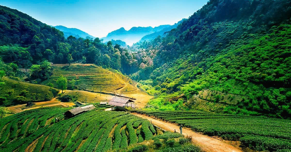 Thailand Highlights