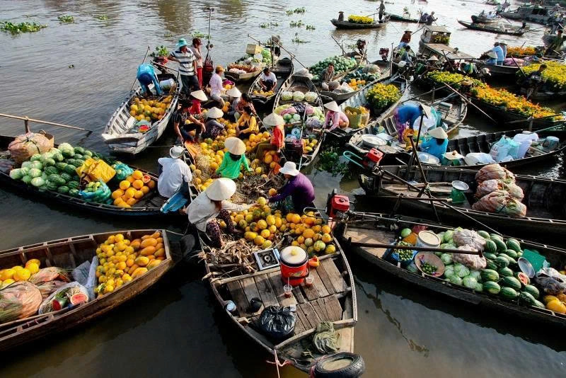 Adventure Vietnam In Luxury