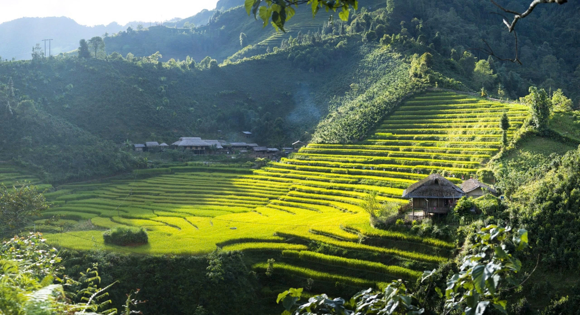 Grand Vietnam