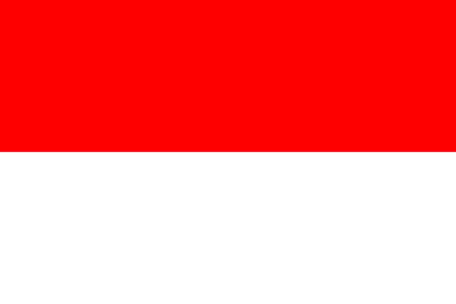 Travel Tips to Bali