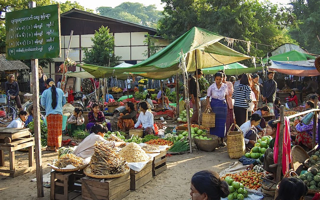 Diversity Of Southeast Asia