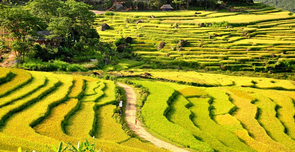Amazing Vietnam, Myanmar & Thailand