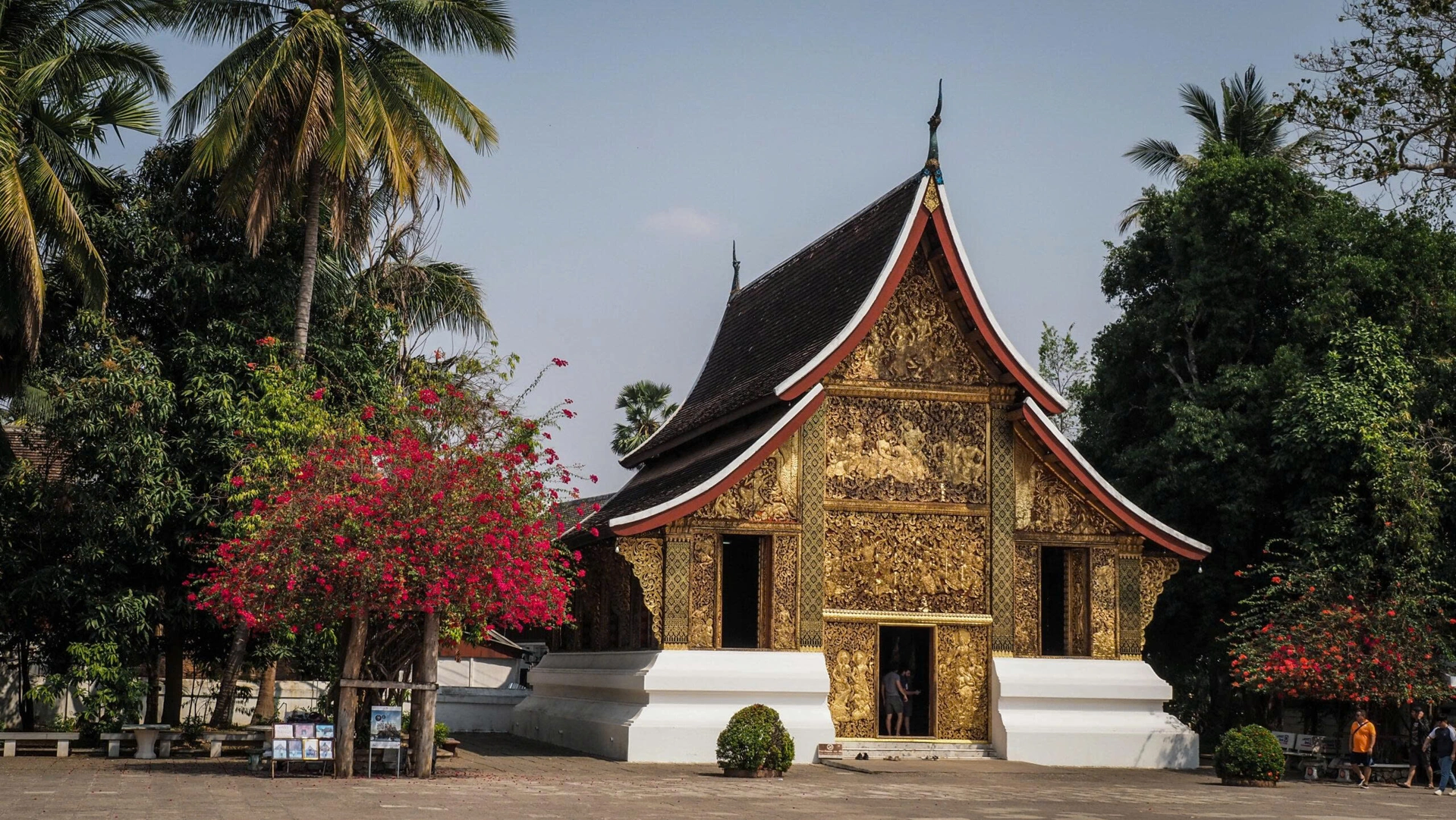 Best Time To Travel To Laos