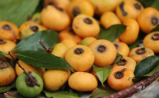 Hanoi-Fruit